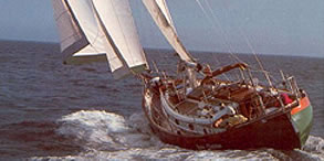 Sail Jolly Swagman