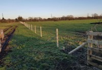 DB Fencing Contractor whitby