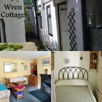 Whitby Wren Cottage