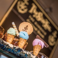 The Star Inn The Harbour