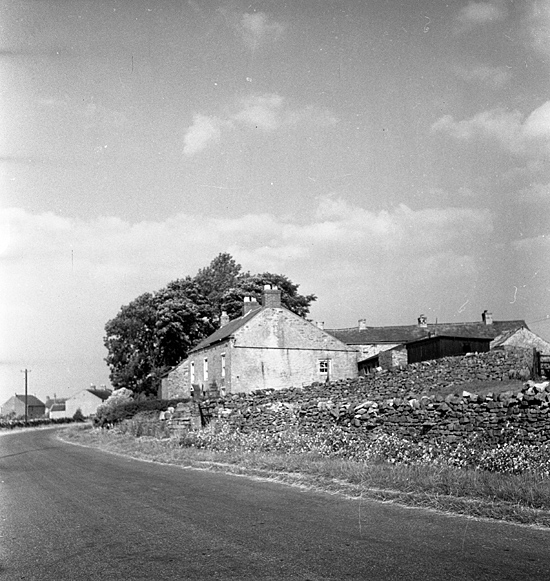 roadhouse - Old Whitby Photos