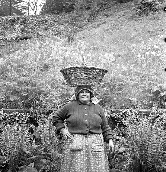 womanbasket - Old Whitby Photos