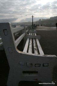 Benches on the Pier